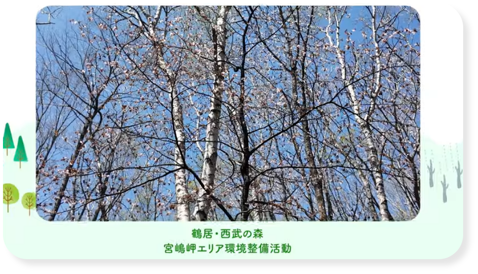 鶴居・西武の森 「宮島岬エリア環境整備活動」