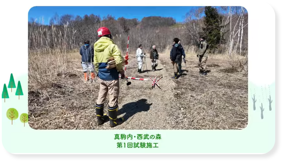 真駒内・西武の森 「いにしえの森に戻すための活動 第１回目」