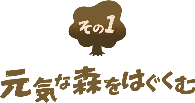 元気な森をはぐくむ