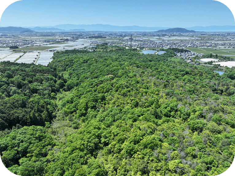 青い空と山の手前に、町と森が広がる風景。