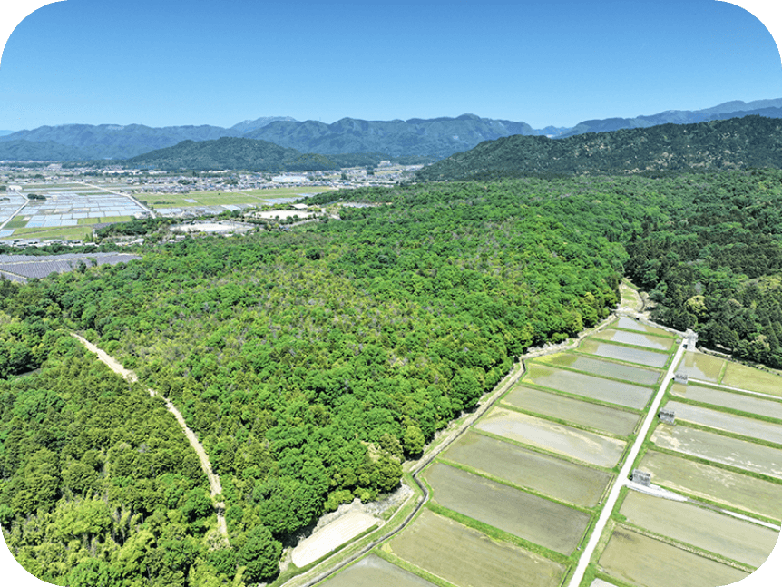 山のふもとに広がる田畑の風景