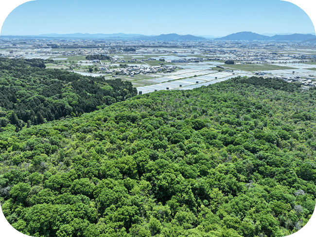 青い空と山の手前に住宅が広がり、さらにその手前に森があります。