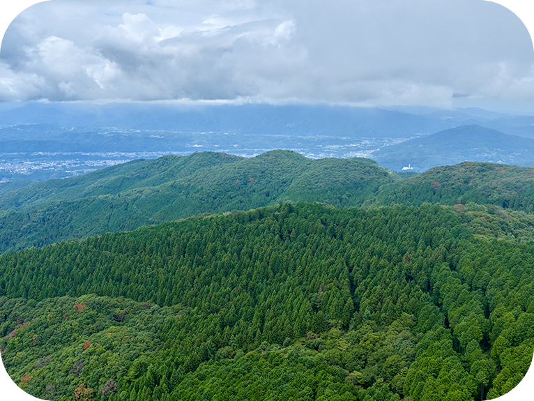 山の斜面に電波塔が建っている風景。青空には白い雲がかかっています。