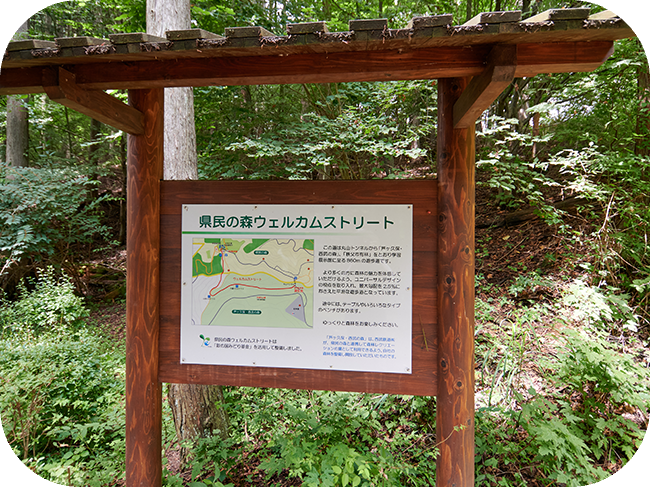 上を指さしている1名の男性と、その方向を見ている2名の男性と1名の女性。