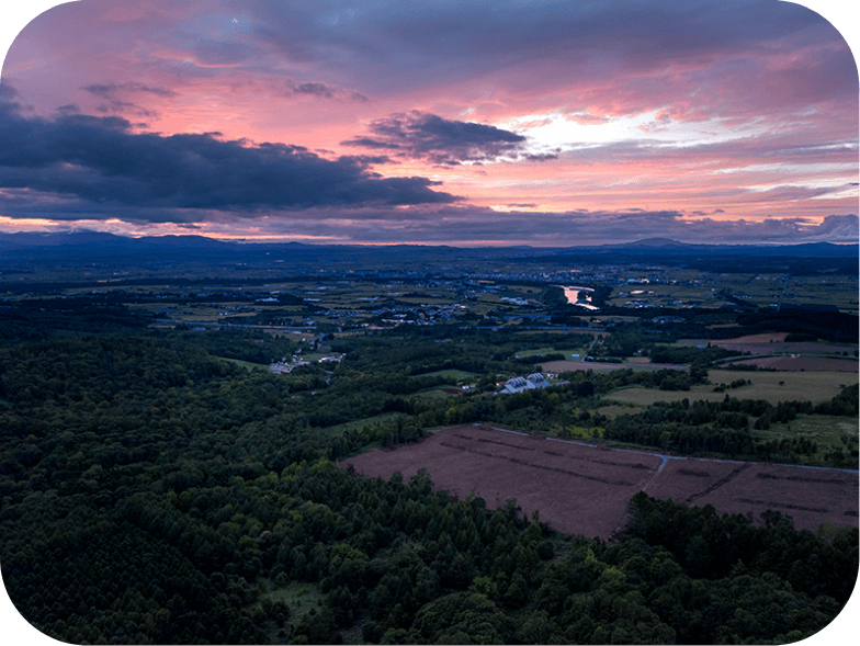 赤紫色の空と、森や畑、住宅が広がった風景。