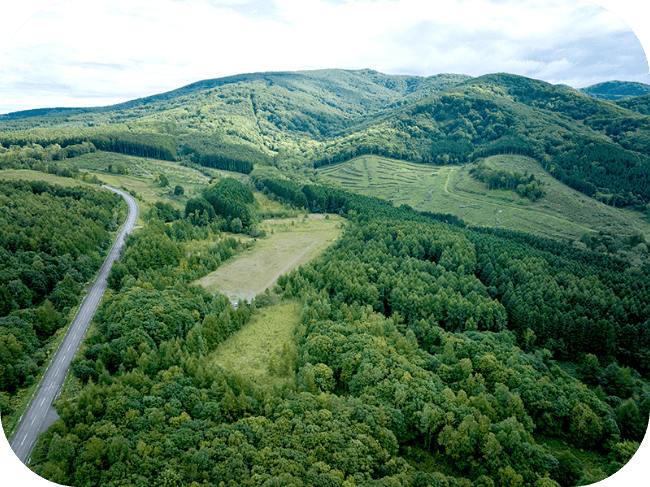 緑豊かな山の斜面の風景。左側には1本の道路が見えます。