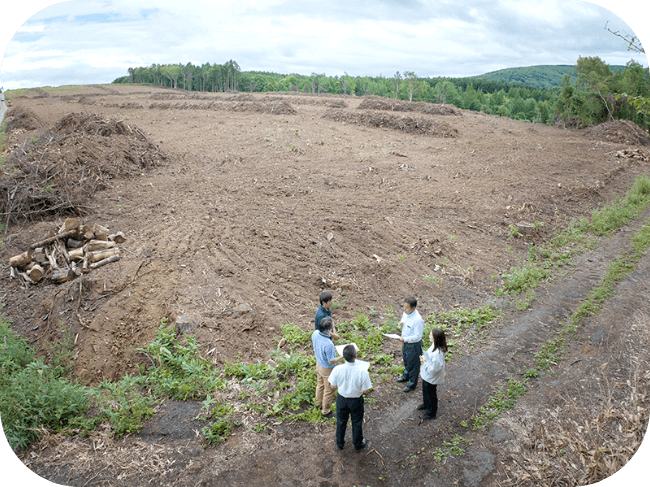 伐採した後の土地を確認している5名の調査員。