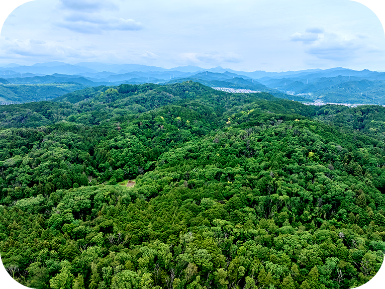 山の斜面に電波塔が建っている風景。青空には白い雲がかかっています。