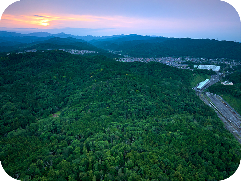 生い茂った森の奥に大きな山が見えます。