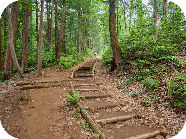 緑豊かな山の斜面に電波塔が建っています。