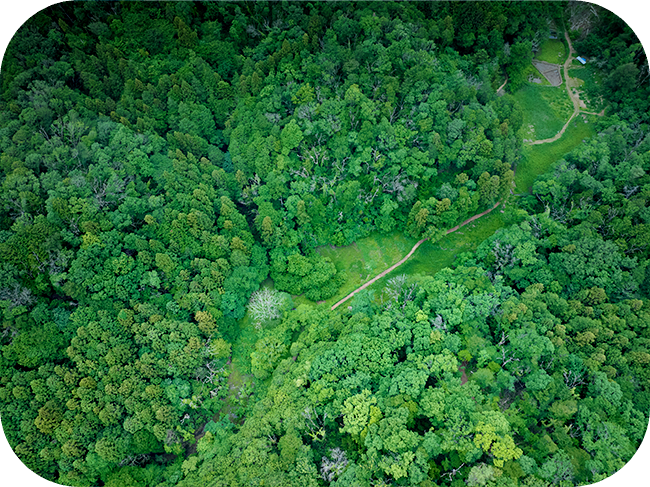緑豊じゃな山の斜面。奥には山が2つ見える。