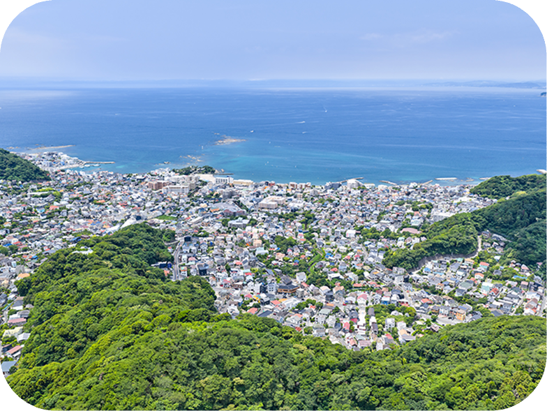 生い茂った森の奥に大きな山が見えます。