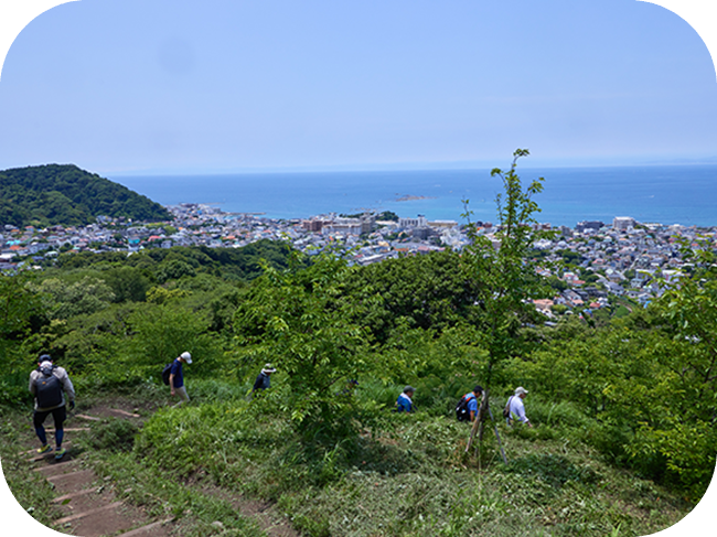 緑豊かな山の斜面に電波塔が建っています。