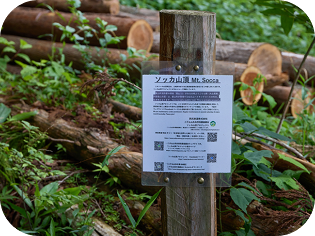 緑豊じゃな山の斜面。奥には山が2つ見える。