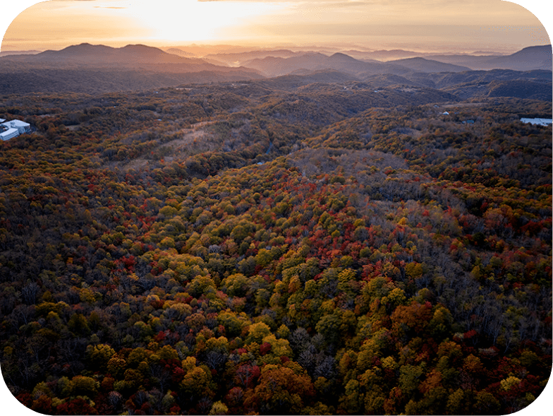 空から見た夕日と山の風景。生い茂った木が紅葉している。