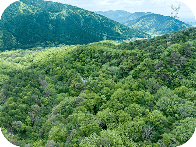 緑豊じゃな山の斜面。奥には山が2つ見える。