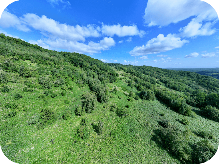 青空には白い雲がかかっており、山には木々が生い茂っています。