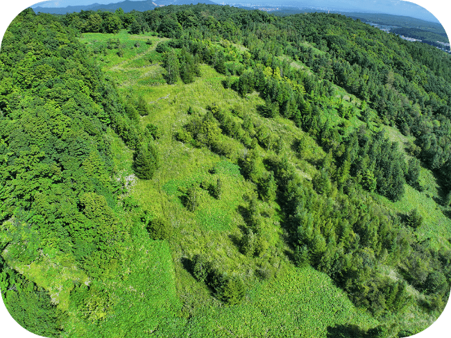 空から見た山の斜面の風景。