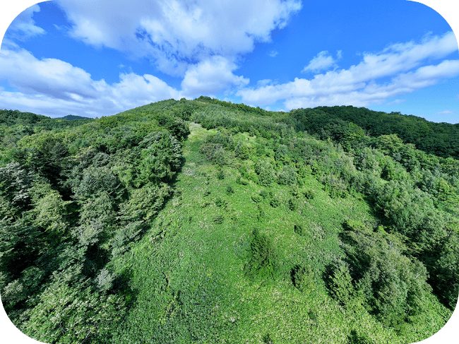 青空には白い雲がかかっており、緑豊かな山が見える。