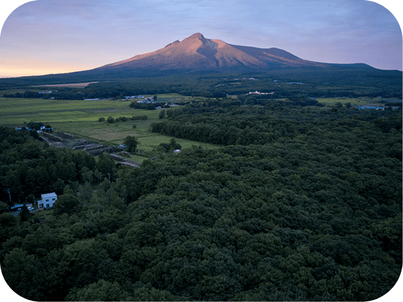 山肌が見えた山の手前に森や田んぼがは広がっている。