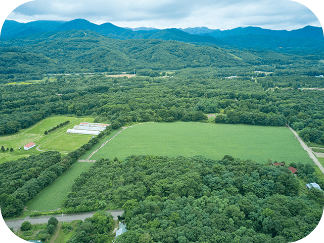 田んぼの周りに広がる森と山の風景。