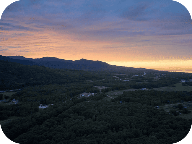 オレンジと紫色の夕焼けの風景。広大な森と少数の住宅が見える。