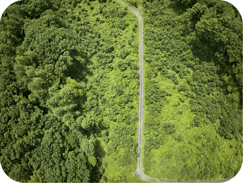 空から見た1本の道路。道路の周りは森に囲まれている。