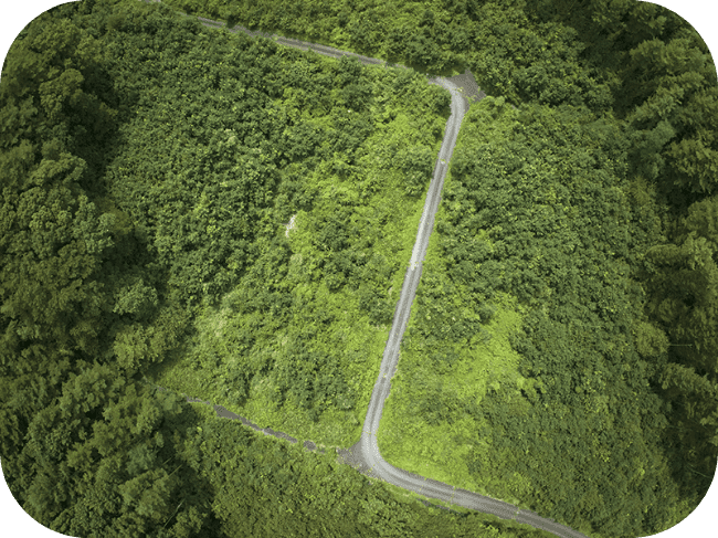 空から見た道路の風景。道路には2つの曲がり角があり、周りは森に囲まれている。