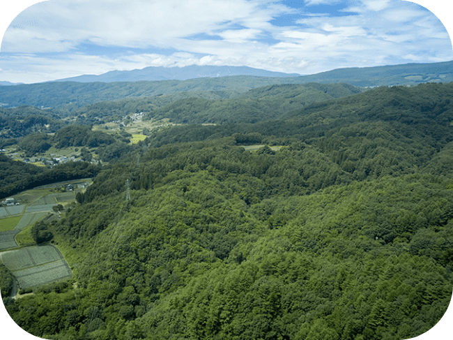 木が生い茂った山の風景。住宅や田畑が少し見える。