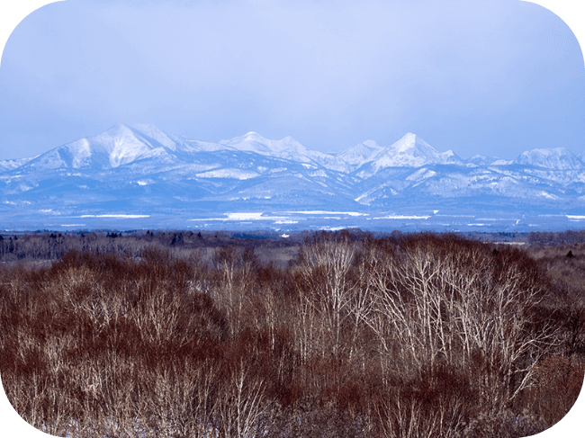 雪に覆われたたくさんの山の風景。手前には複数の茶色い木が見える。