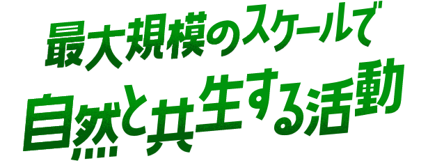 最大規模のスケールで 森と共に生きる活動