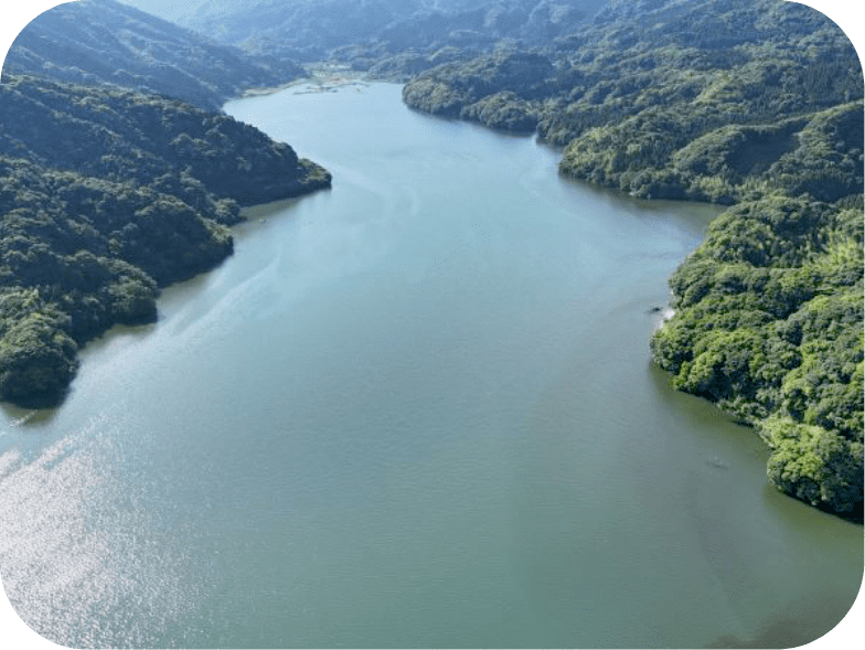 広大な川の風景。両脇には緑豊かな森が見える。