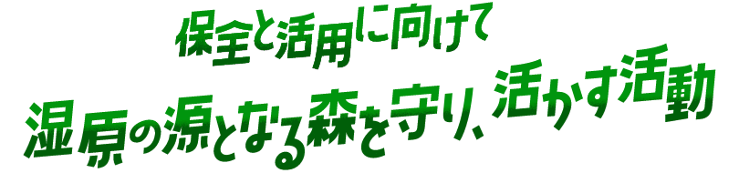 保全と活用に向けて 湿原の源となる森を守り、活かす活動